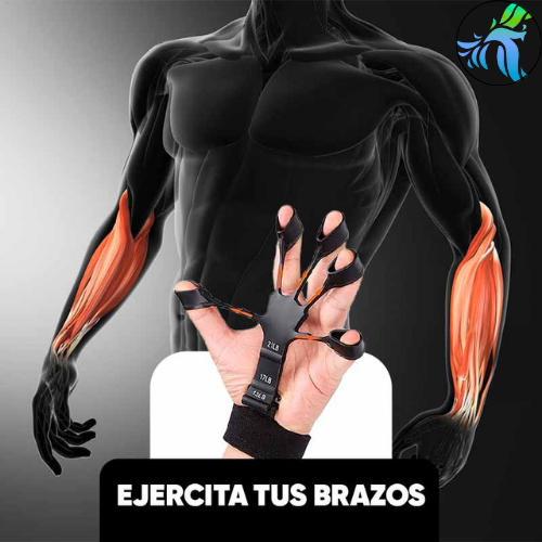 SET EJERCITADORES DE DEDOS (AMBAS MANOS)